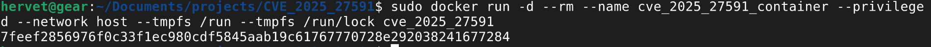 Docker run container